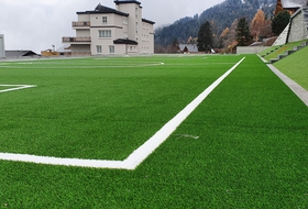 Multisports