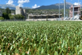 fibre turf