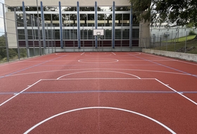 multisports
