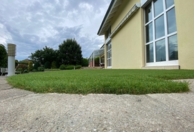 Greenplaisance