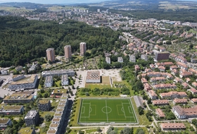 Kunstrasen