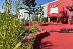 Manor