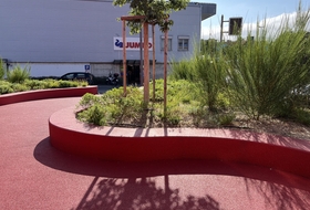 Manor