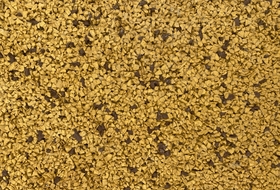 Kappel3