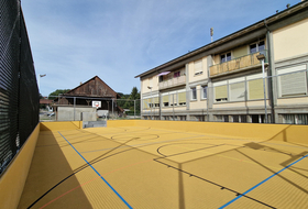 Multisports