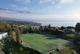 terrain synthétique