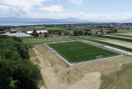 Gland_terrain synthétique