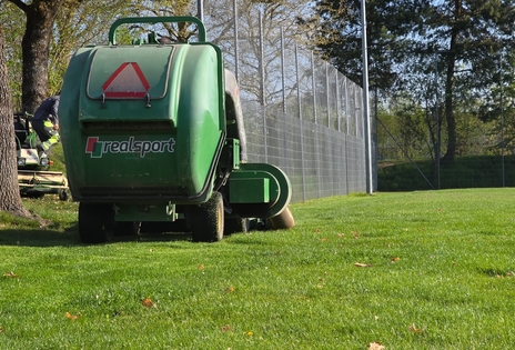 Unterhalt Naturrasen