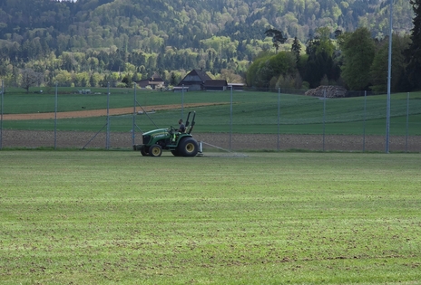 Unterhalt Naturrasen