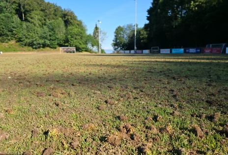 Rasenunterhalt