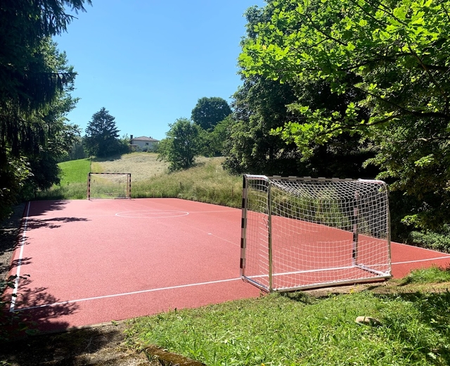 Multisports