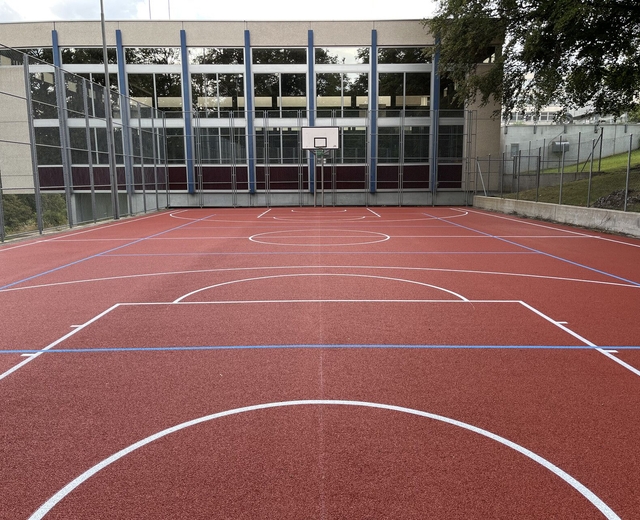 multisports