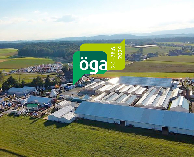 Öga