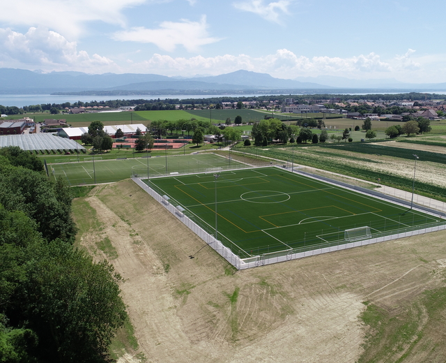 Gland_terrain synthétique