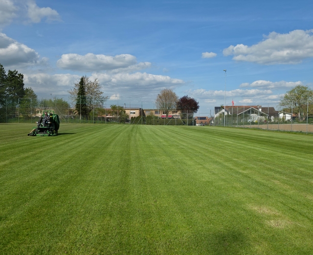 Unterhalt Naturrasen