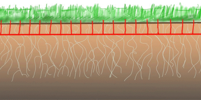 Renforcement d'un substrat de sable