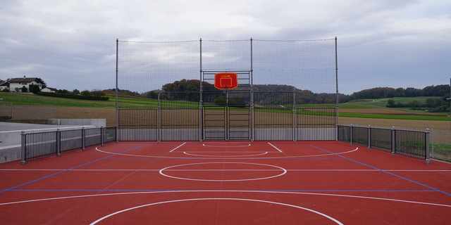 Multisports