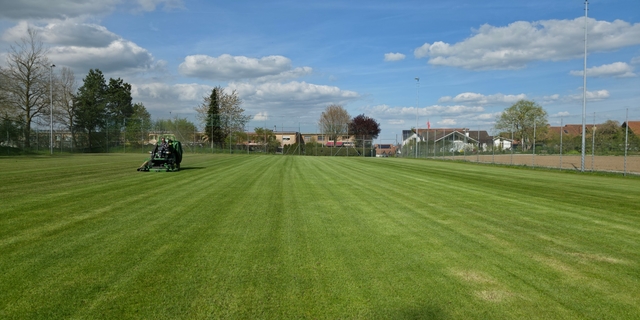 Unterhalt Naturrasen